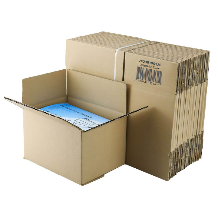 Carton simple cannelure 22 x 16 x 13 cm