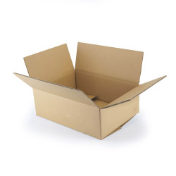 Carton double cannelure 40x30x20 cm type GALIA A13