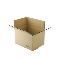 HORLIMER Petite Boîte Carton d'expédition 280x204x51MM Lot de 25