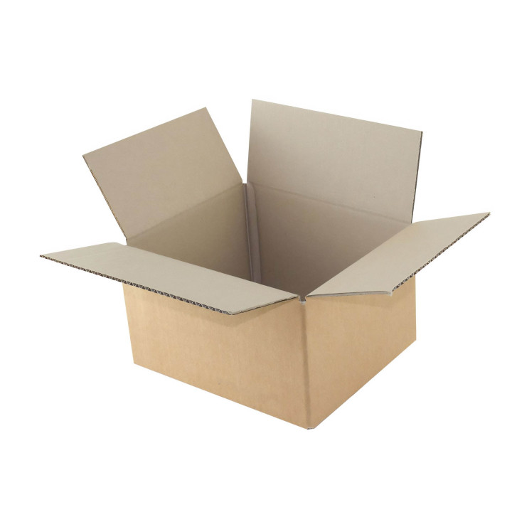 15 cartons d'emballage 25 x 15 x 14 cm - Simple cannelure - Raja