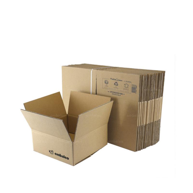 Carton standard simple cannelure 25x25x10 cm