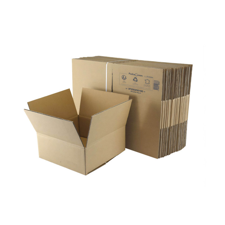 Carton standard simple cannelure 25x25x10 cm