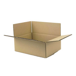 Carton double cannelure 31 x 21,5 x 10 cm