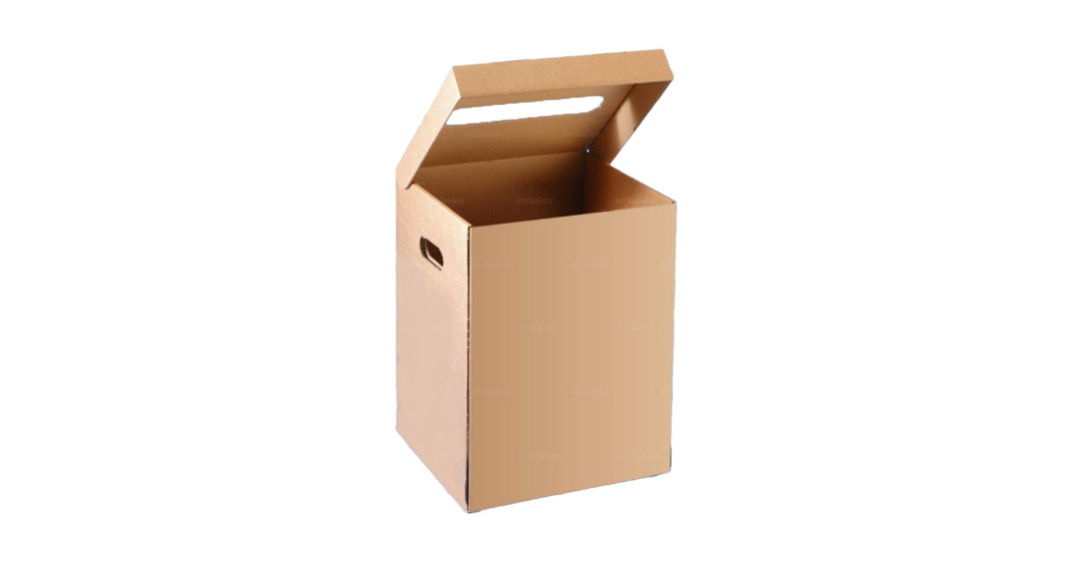 poubelles-en-carton