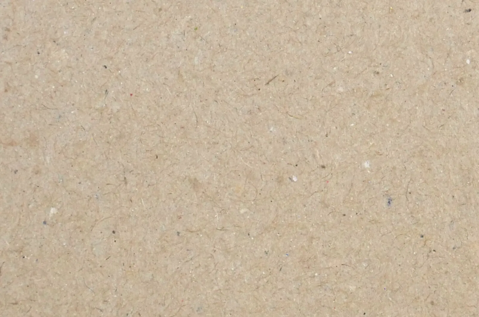 Carton